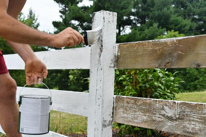 exterior fence painting for reside ces